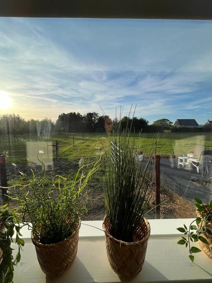 De Tulp Bed & Breakfast Noordgouwe Luaran gambar