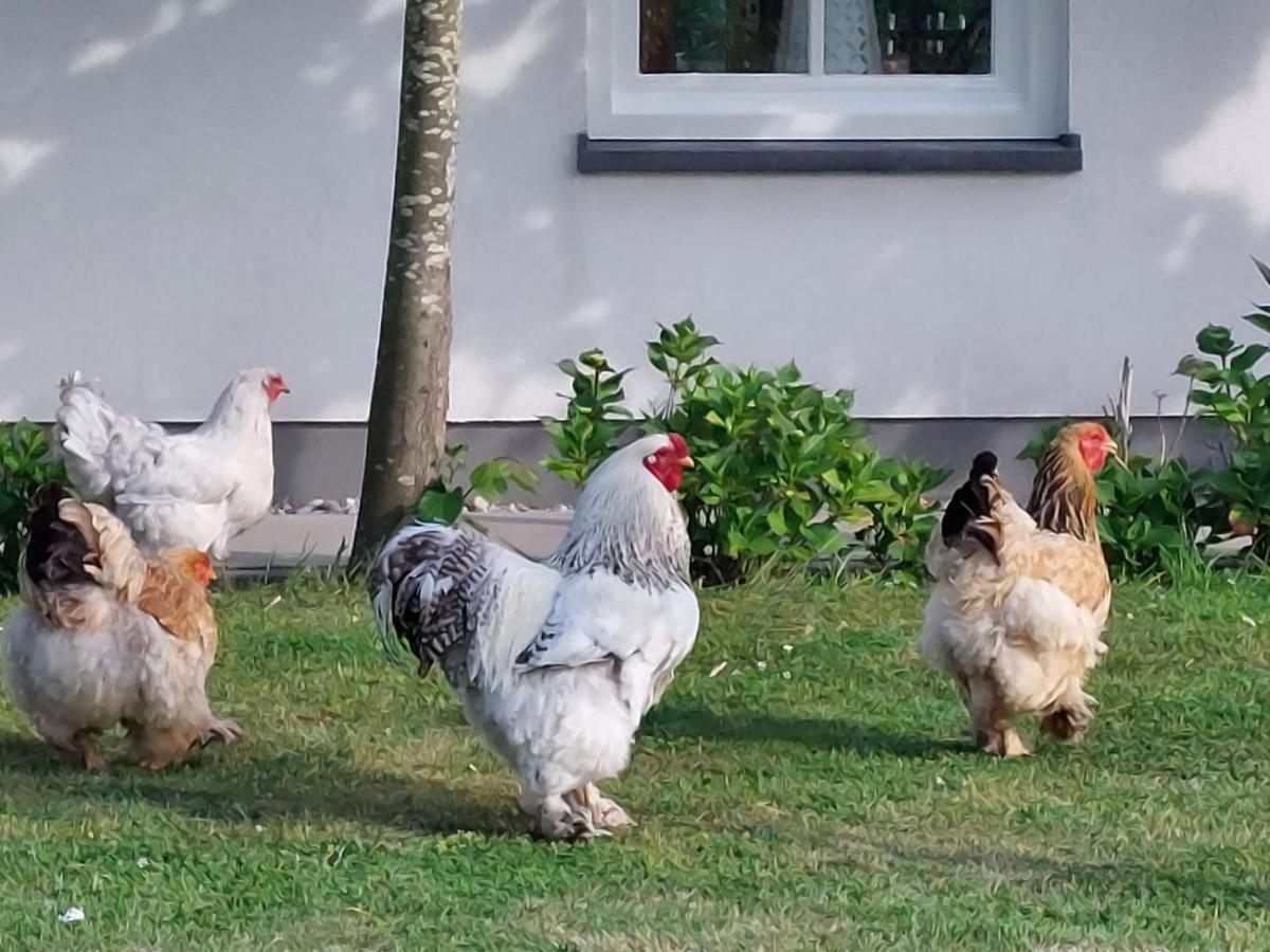 De Tulp Bed & Breakfast Noordgouwe Luaran gambar