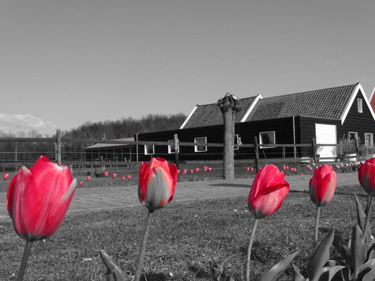 De Tulp Bed & Breakfast Noordgouwe Luaran gambar
