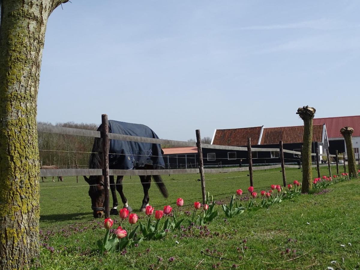 De Tulp Bed & Breakfast Noordgouwe Luaran gambar