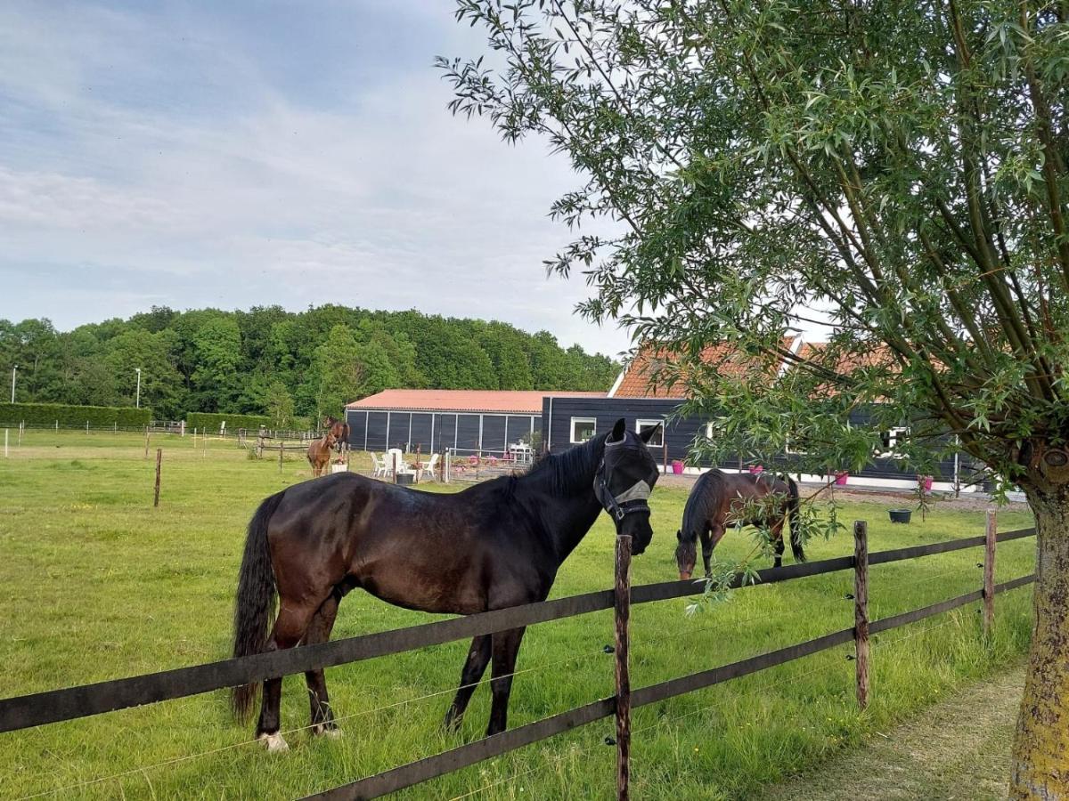 De Tulp Bed & Breakfast Noordgouwe Luaran gambar